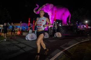 BIB: 
                            <button type="button" onclick="openModal(26552057)" class="btn btn-primary btn-sm float-right btn-popup" data-toggle="modal" data-target=".modal-high-quality">
                        <i class="fas fa-shopping-cart"></i> Add to Cart
                    </button>
                                            <button type="button" onclick="isThisMe(26552057, true)" class="btn btn-success btn-sm float-right btn-popup btn-isme hidden" data-toggle="tooltip" data-placement="bottom" title="นี่คือรูปของคุณใช่ไหม คลิกที่นี่เพื่อเอาเข้าอัลบั้ม">
                        <i class="fas fa-plus"></i> Add to album
                    </button>
                    <button type="button" onclick="isThisMe(26552057, false)" class="btn btn-warning btn-sm float-right btn-popup btn-isnotme hidden">
                        <i class="fas fa-ban"></i> Remove from album
                    </button>